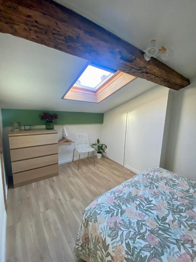 L'hortensia Saint Aubin Apartment Toulouse